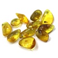 Amber Polished Stones