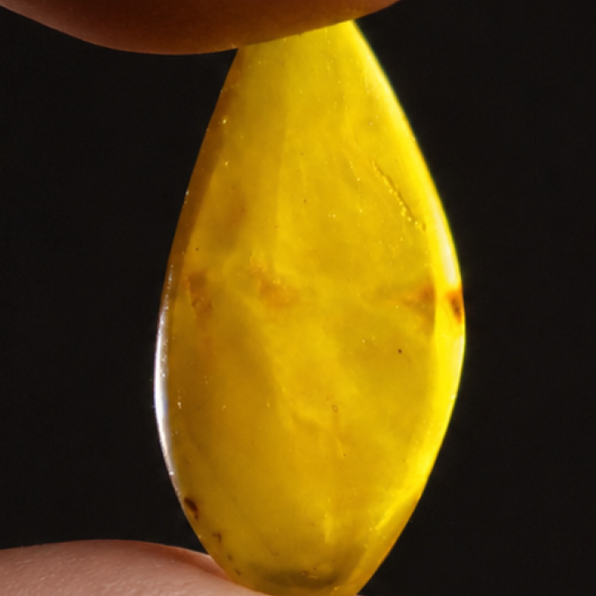 Translucent eggyolk yellow Natural Dominican Amber teardrop Polished Stone 26 mm
