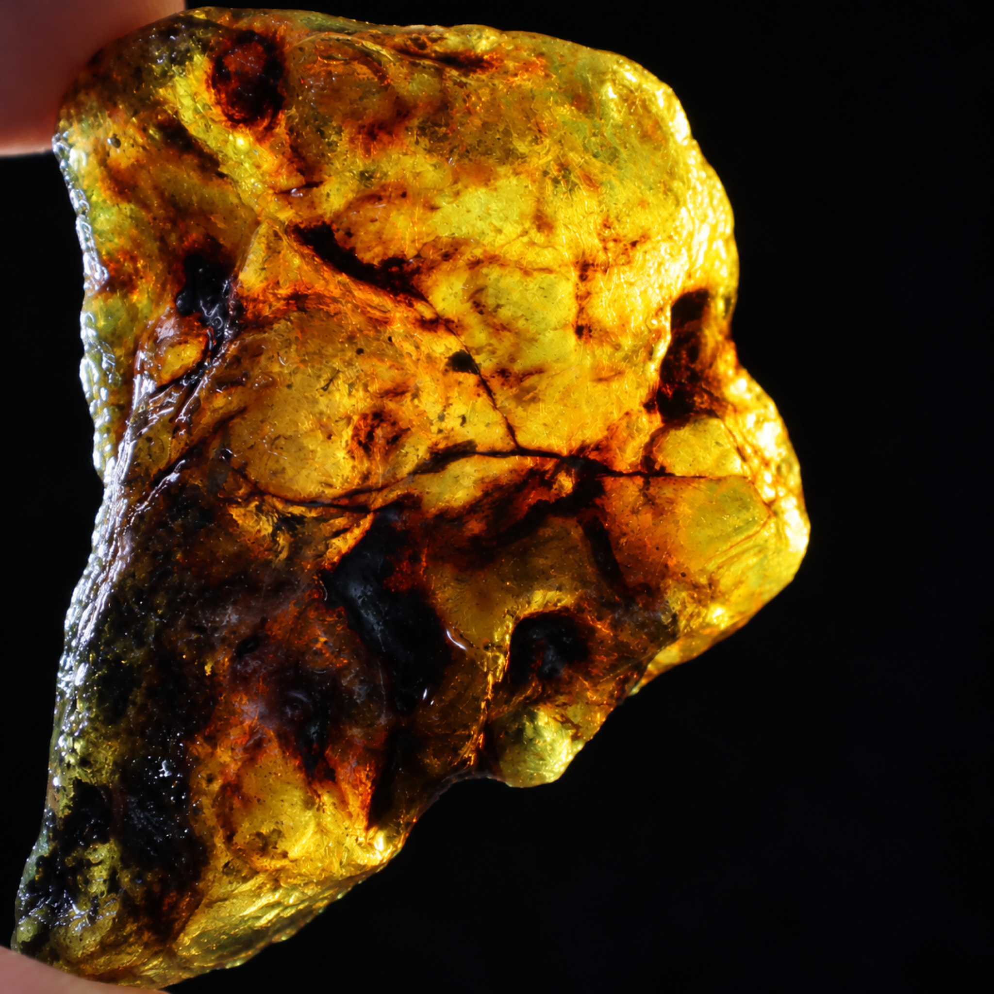 Earth mined green blue rough specimen Dominican amber 39.7g – photo 7