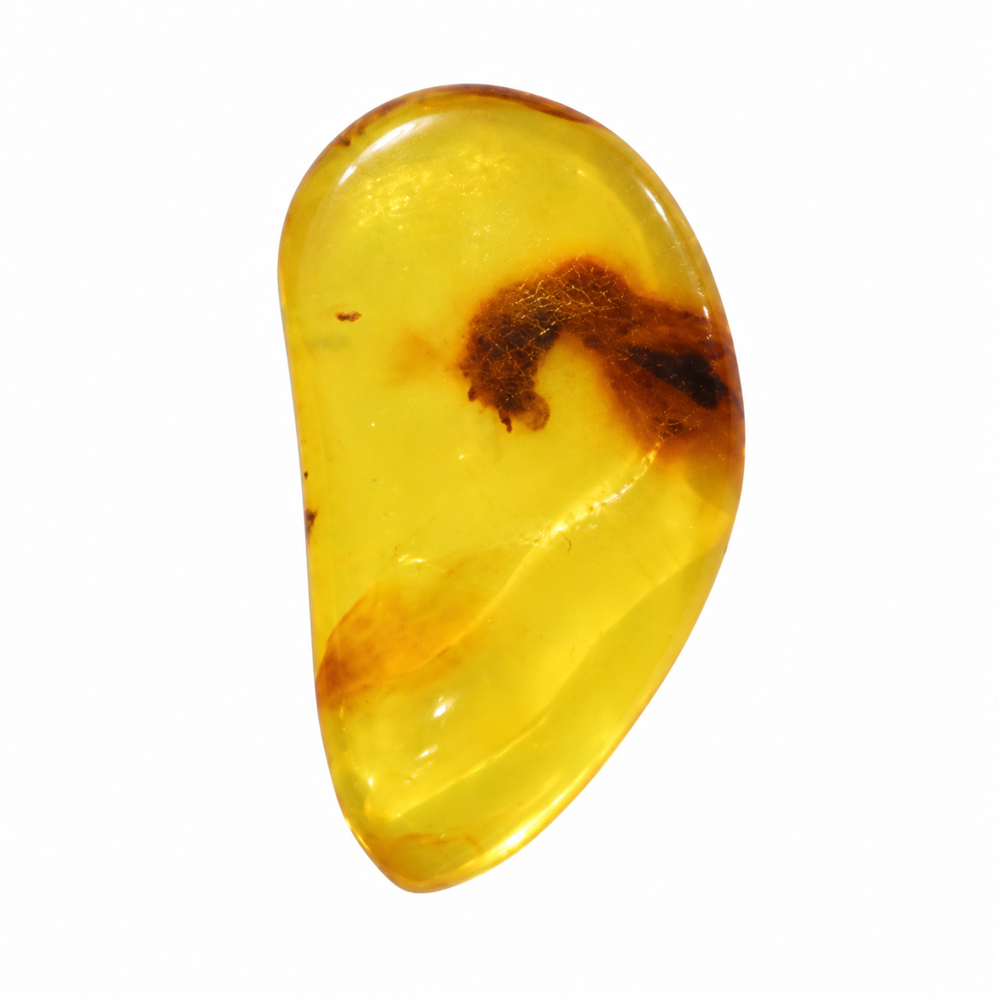 Untreated deep bkue Dominican amber cabochon – photo 3