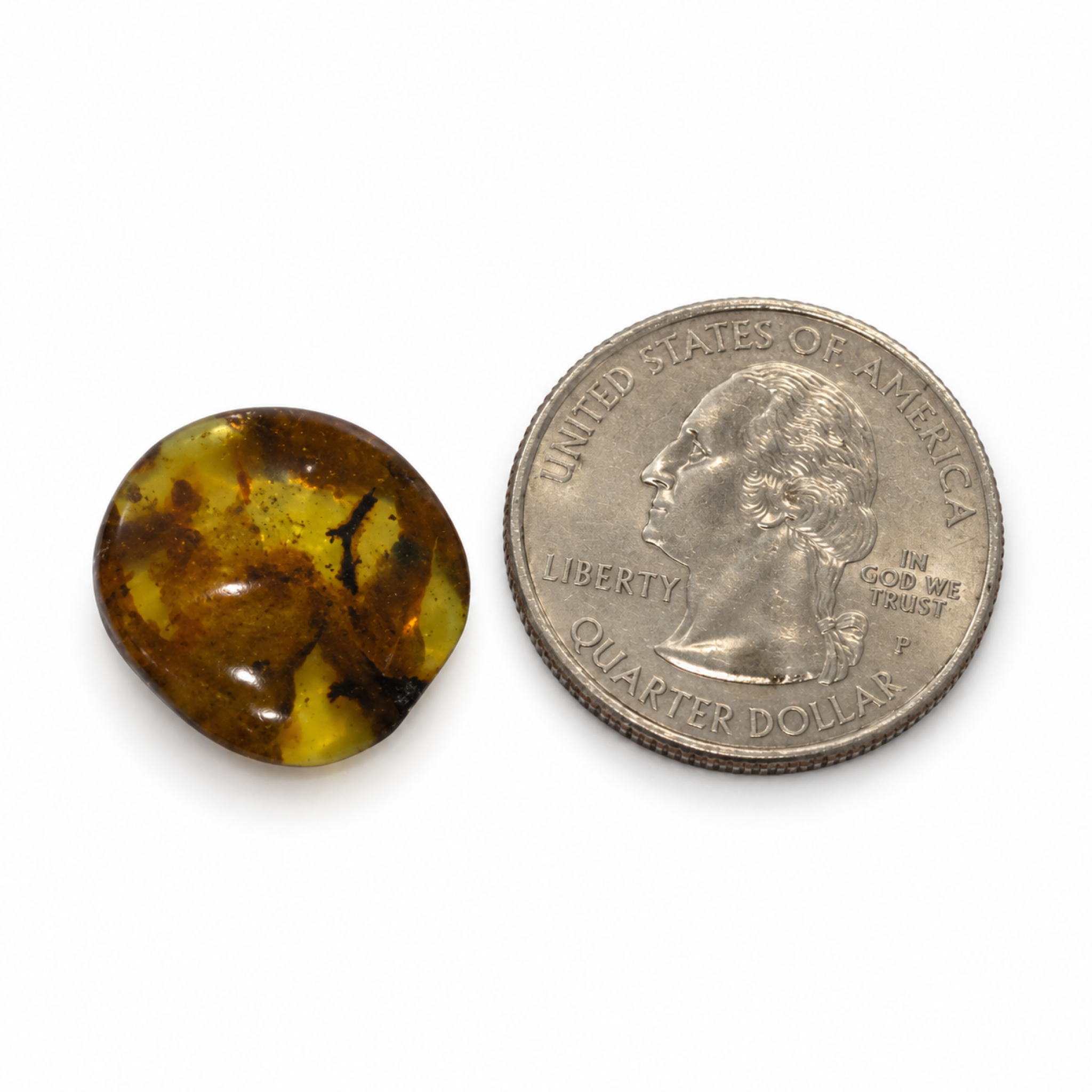 Untreated deep bkue Dominican amber cabochon – photo 6
